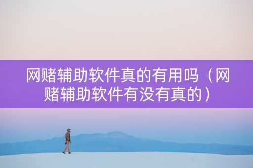 网赌辅助软件真的有用吗（网赌辅助软件有没有真的）