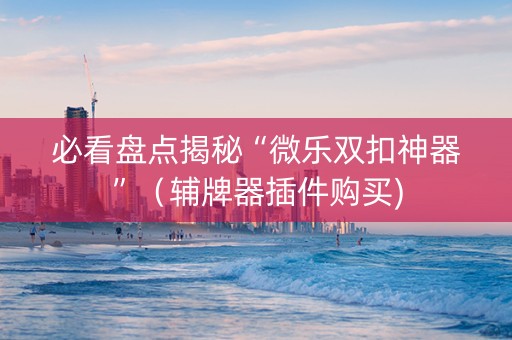 必看盘点揭秘“微乐双扣神器”（辅牌器插件购买)