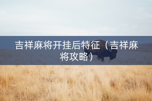 吉祥麻将开挂后特征（吉祥麻将攻略）