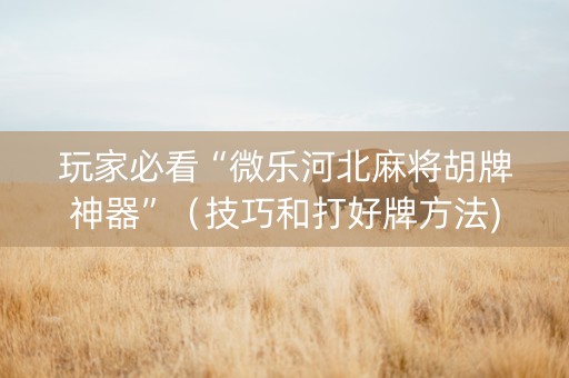 玩家必看“微乐河北麻将胡牌神器”（技巧和打好牌方法)