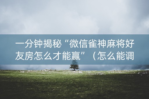 一分钟揭秘“微信雀神麻将好友房怎么才能赢”（怎么能调好牌)