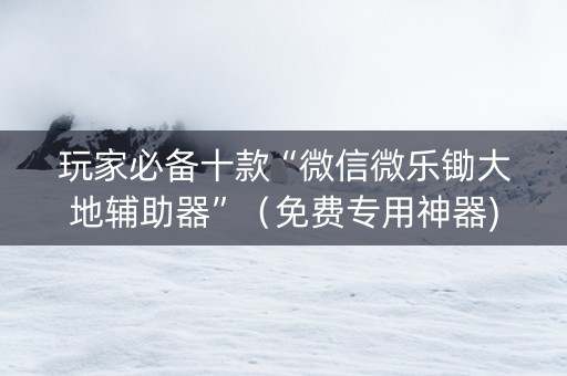 玩家必备十款“微信微乐锄大地辅助器”（免费专用神器)