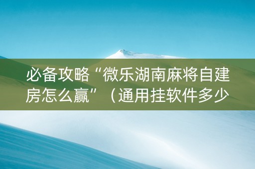 必备攻略“微乐湖南麻将自建房怎么赢”（通用挂软件多少钱)