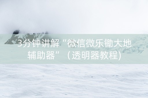 3分钟讲解“微信微乐锄大地辅助器”（透明器教程)