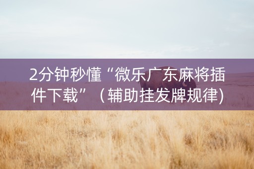 2分钟秒懂“微乐广东麻将插件下载”（辅助挂发牌规律)