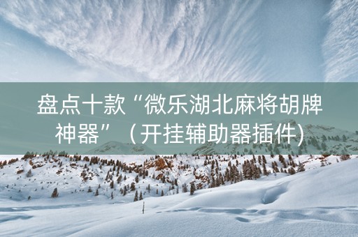 盘点十款“微乐湖北麻将胡牌神器”（开挂辅助器插件)