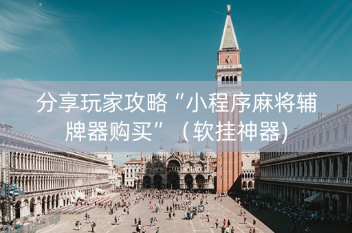分享玩家攻略“小程序麻将辅牌器购买”（软挂神器)
