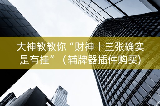 大神教教你“财神十三张确实是有挂”（辅牌器插件购买)