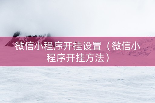 微信小程序开挂设置（微信小程序开挂方法）