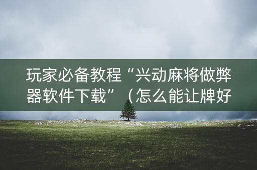玩家必备教程“兴动麻将做弊器软件下载”（怎么能让牌好一点)