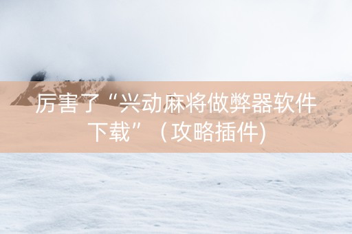 厉害了“兴动麻将做弊器软件下载”（攻略插件)