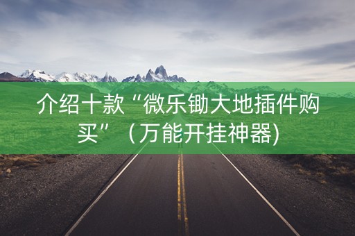介绍十款“微乐锄大地插件购买”（万能开挂神器)