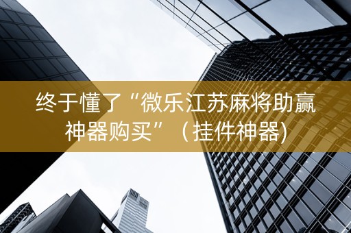 终于懂了“微乐江苏麻将助赢神器购买”（挂件神器)