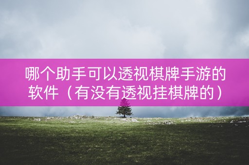 哪个助手可以透视棋牌手游的软件（有没有透视挂棋牌的）