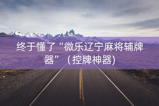 终于懂了“微乐辽宁麻将辅牌器”（控牌神器)