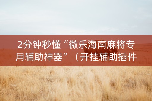 2分钟秒懂“微乐海南麻将专用辅助神器”（开挂辅助插件)