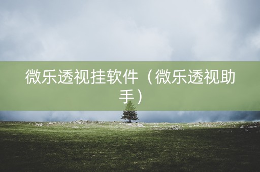 微乐透视挂软件（微乐透视助手）
