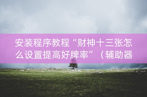 安装程序教程“财神十三张怎么设置提高好牌率”（辅助器插件)