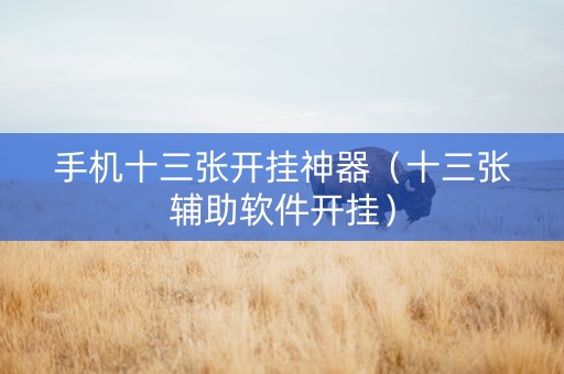 手机十三张开挂神器（十三张辅助软件开挂）