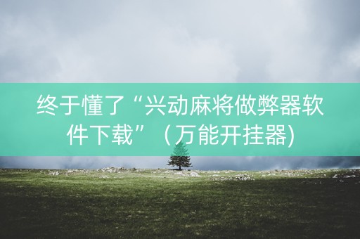 终于懂了“兴动麻将做弊器软件下载”（万能开挂器)