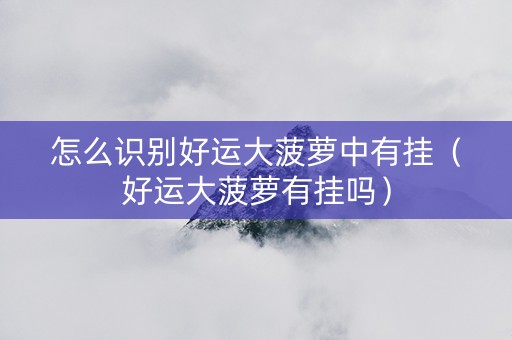 怎么识别好运大菠萝中有挂（好运大菠萝有挂吗）