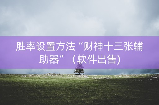 胜率设置方法“财神十三张辅助器”（软件出售)