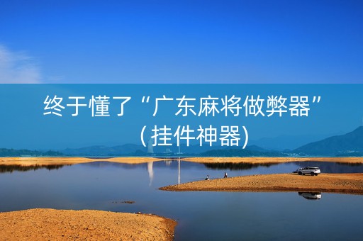 终于懂了“广东麻将做弊器”（挂件神器)
