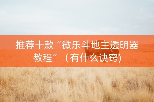 推荐十款“微乐斗地主透明器教程”（有什么诀窍)