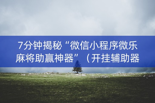 7分钟揭秘“微信小程序微乐麻将助赢神器”（开挂辅助器脚本)