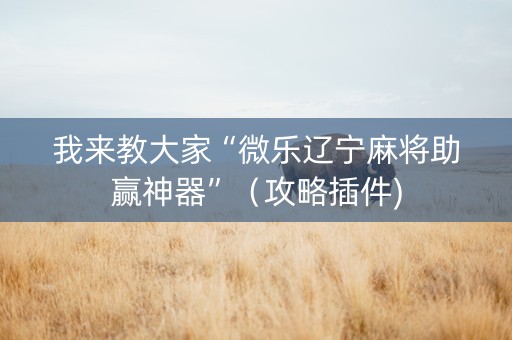 我来教大家“微乐辽宁麻将助赢神器”（攻略插件)