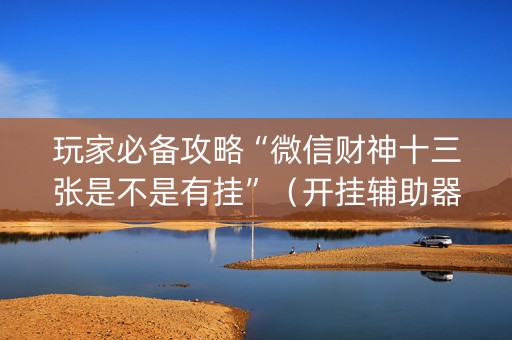 玩家必备攻略“微信财神十三张是不是有挂”（开挂辅助器脚本)