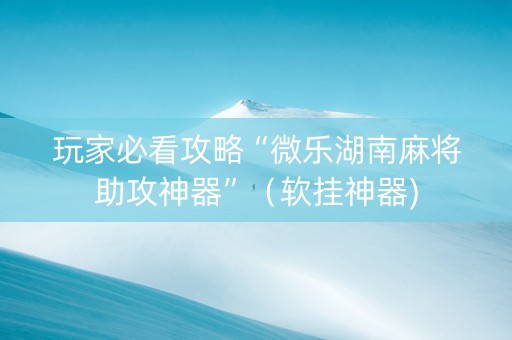 玩家必看攻略“微乐湖南麻将助攻神器”（软挂神器)