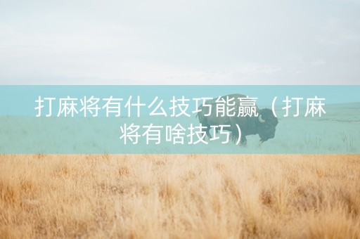 打麻将有什么技巧能赢（打麻将有啥技巧）