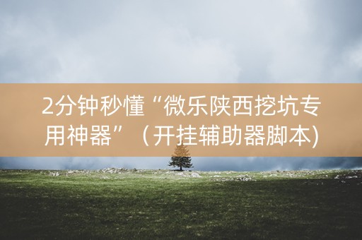 2分钟秒懂“微乐陕西挖坑专用神器”（开挂辅助器脚本)