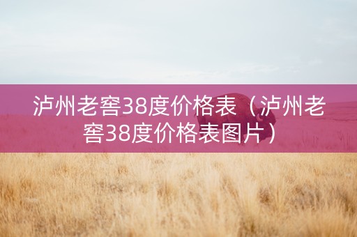 泸州老窖38度价格表（泸州老窖38度价格表图片）