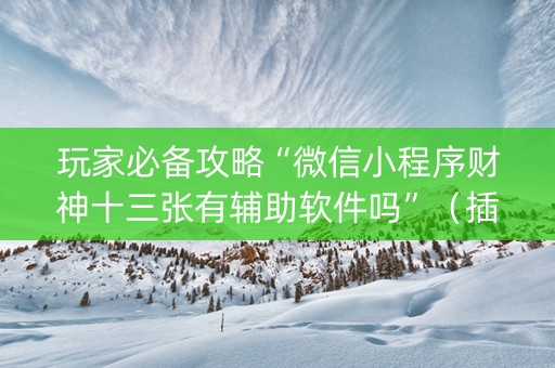 玩家必备攻略“微信小程序财神十三张有辅助软件吗”（插件可信吗)