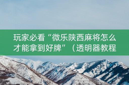 玩家必看“微乐陕西麻将怎么才能拿到好牌”（透明器教程)