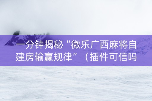 一分钟揭秘“微乐广西麻将自建房输赢规律”（插件可信吗)