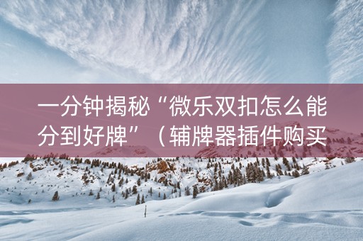一分钟揭秘“微乐双扣怎么能分到好牌”（辅牌器插件购买)