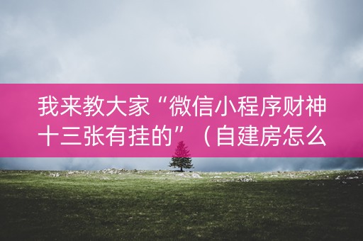 我来教大家“微信小程序财神十三张有挂的”（自建房怎么赢)
