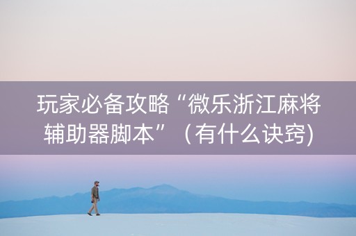 玩家必备攻略“微乐浙江麻将辅助器脚本”（有什么诀窍)