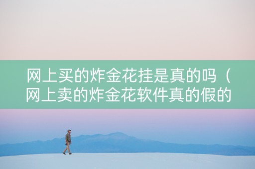 网上买的炸金花挂是真的吗（网上卖的炸金花软件真的假的啊）