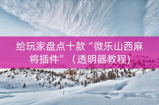 给玩家盘点十款“微乐山西麻将插件”（透明器教程)