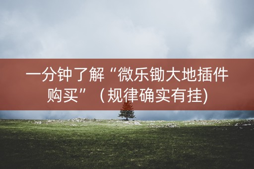 一分钟了解“微乐锄大地插件购买”（规律确实有挂)