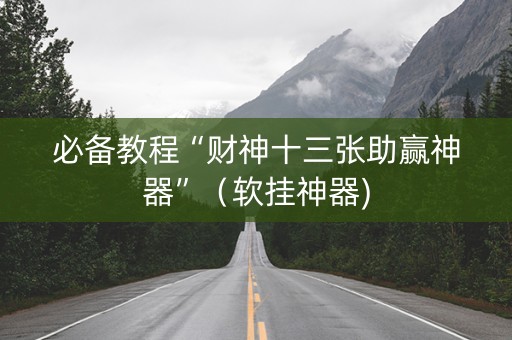 必备教程“财神十三张助赢神器”（软挂神器)