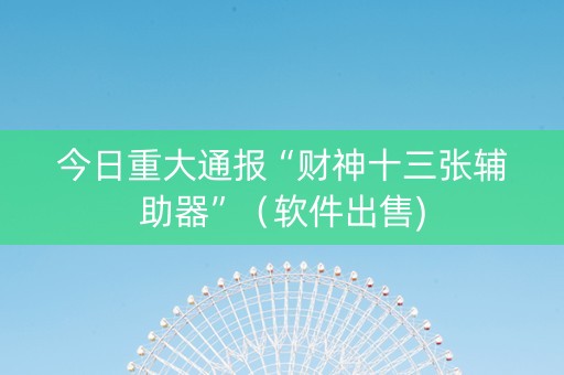 今日重大通报“财神十三张辅助器”（软件出售)