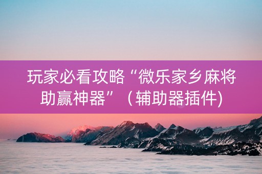 玩家必看攻略“微乐家乡麻将助赢神器”（辅助器插件)