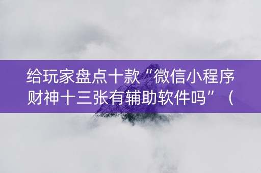 给玩家盘点十款“微信小程序财神十三张有辅助软件吗”（控牌神器)