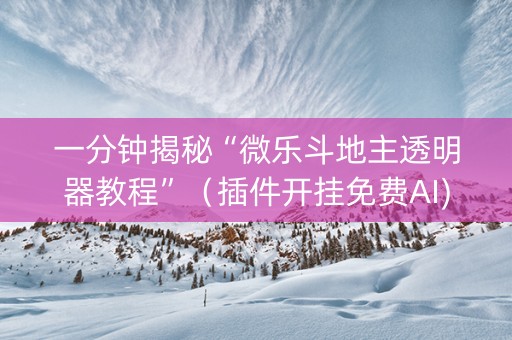一分钟揭秘“微乐斗地主透明器教程”（插件开挂免费AI)