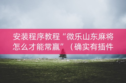 安装程序教程“微乐山东麻将怎么才能常赢”（确实有插件吗)